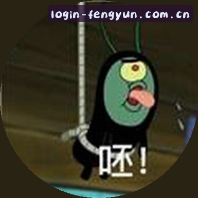刘娜
