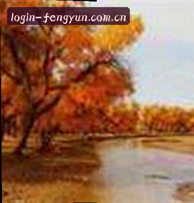 陈磊